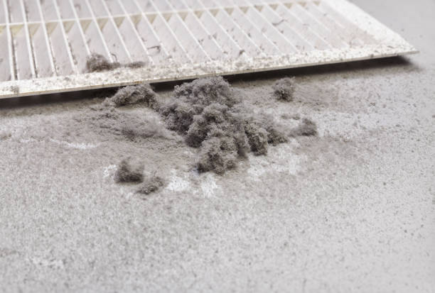 Best Air Vent Cleaning Services  in Green Island, NY
