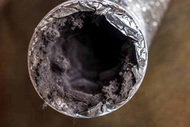 Best HVAC Maintenance and Cleaning  in Green Island, NY