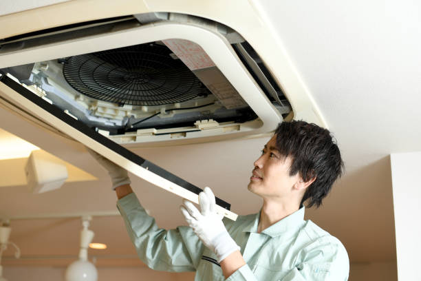 Best Dryer Vent Cleaning Services  in Green Island, NY